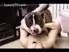 A nasty, sultry woman goes on a mission with a mutt.